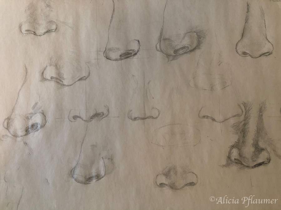 Nose Sketches, medium: pencil